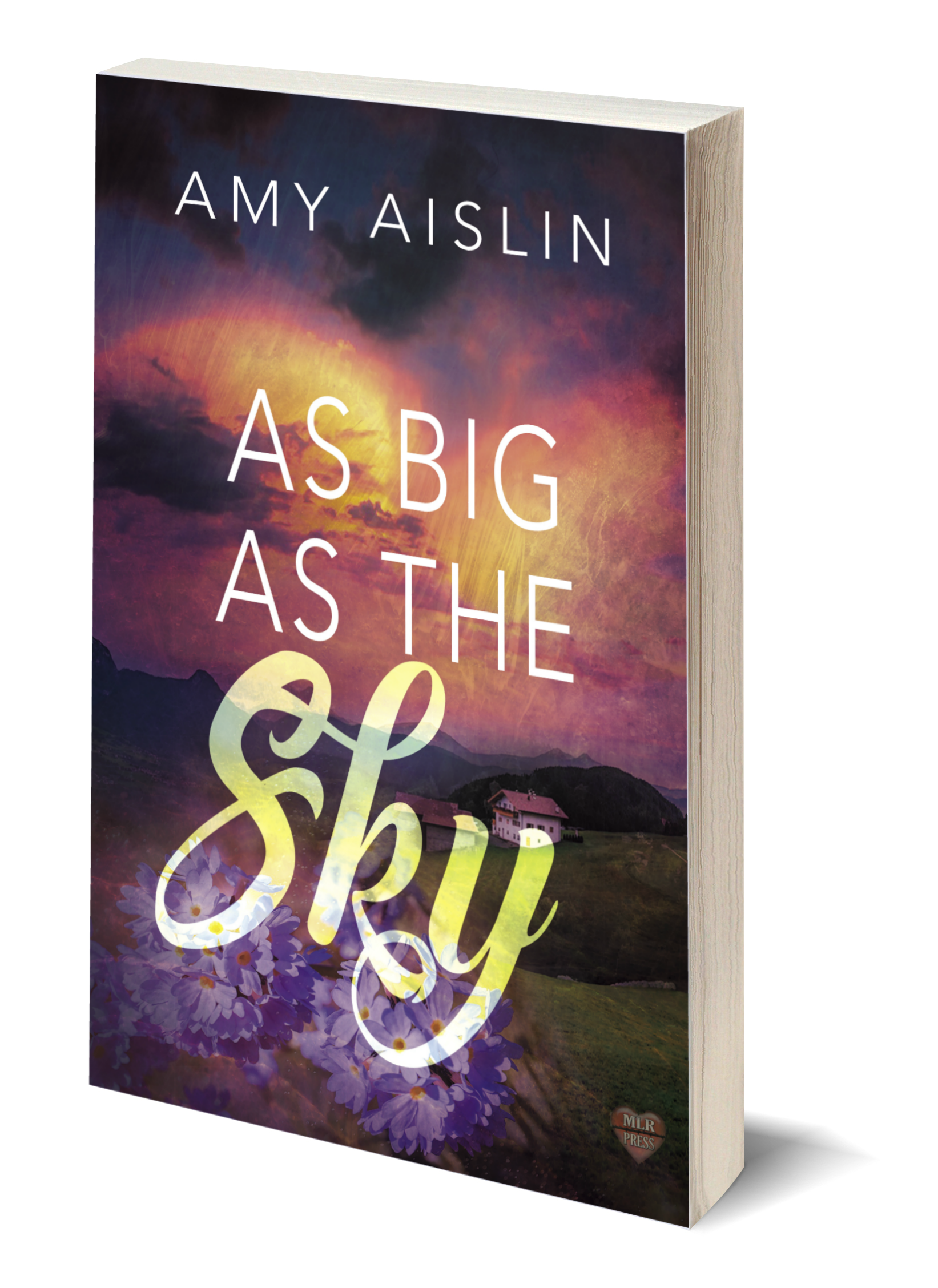 As Big As the Sky_3D Cover