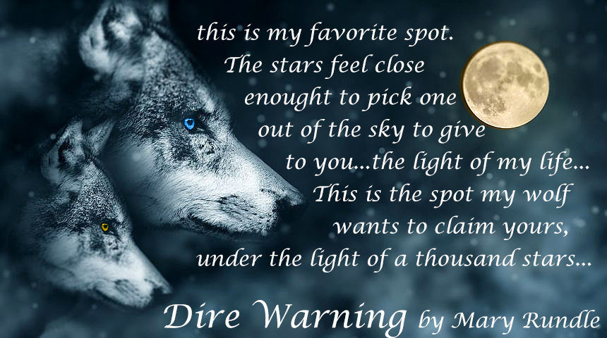 Dire Warning by Mary Rundle