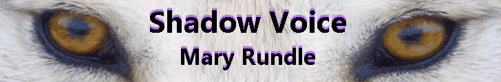 Release Blitz & Giveaway: Mary Rundle’s Shadow Voice