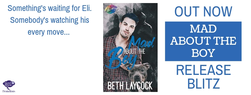 Release Blitz & Giveaway: Mad About the Boy by Beth Laycock